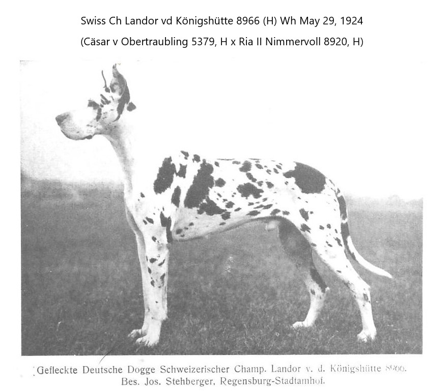 Landor vd Konigshutte
